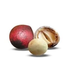 aceite de avellana chilena rew ingredientes