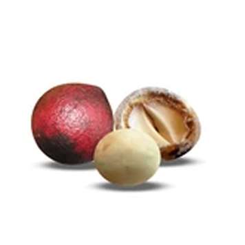 Aceite de Avellana Chilena