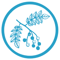 protector solar natural chile